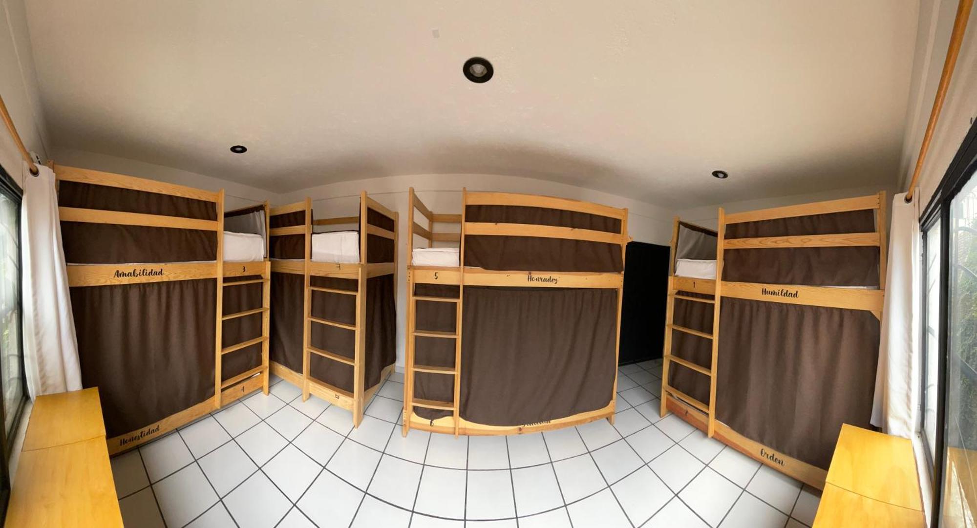 Hostal Roma Condesa 墨西哥城 外观 照片